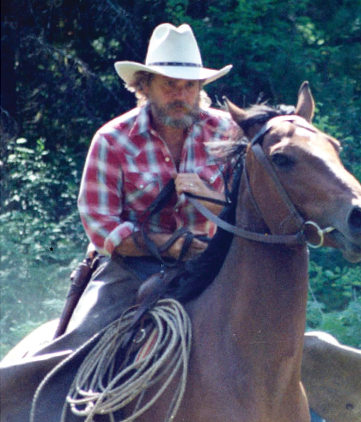 Michael Seward on horseback in the forest